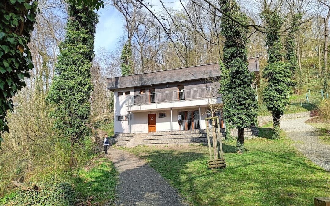 Zahájení skautského roku 2024/2025