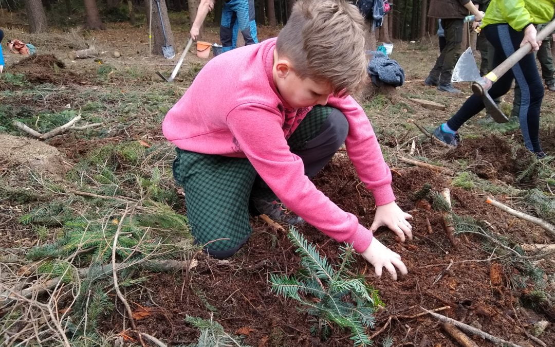 Sázíme lesy pro nové generace 🌱