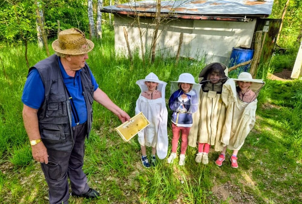 Světlušky a včeličky