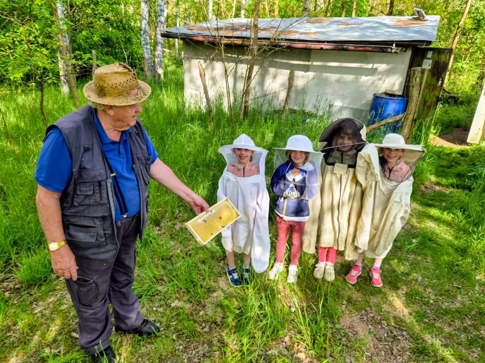 Světlušky a včeličky